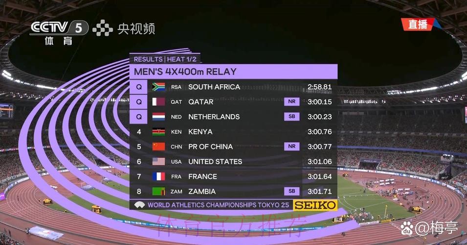 全面解析世界杯比赛结果数据背后的精彩瞬间